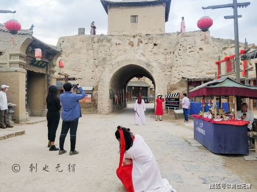 人与畜禽狗croproation,深化合作关系的优势与策略-第3张图片-佛山资讯网 人与畜禽狗croproation,深化合作关系的优势与策略-第3张图片-佛山资讯网
