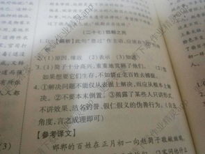 免费阅读互动小说平台，开启在线体验新篇章-解决方案解析-第1张图片-佛山资讯网