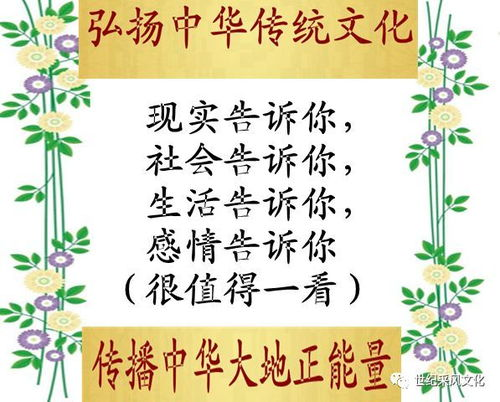 《欢乐颂2》:都市青年的生活百态与情感纠葛解析-第3张图片-佛山资讯网 《欢乐颂2》:都市青年的生活百态与情感纠葛解析-第3张图片-佛山资讯网