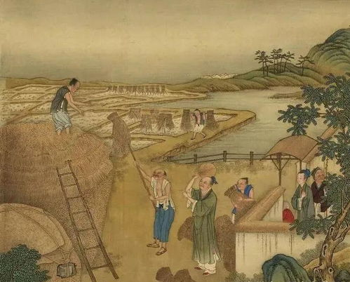 通房娇宠:古代背景小说中的情感纠葛与地位分析-第1张图片-佛山资讯网 通房娇宠:古代背景小说中的情感纠葛与地位分析-第1张图片-佛山资讯网