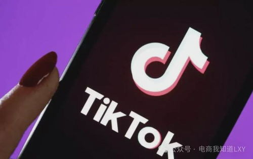 TikTok海外直播网络专线,提升直播体验-解决方案解析-第1张图片-佛山资讯网 TikTok海外直播网络专线,提升直播体验-解决方案解析-第1张图片-佛山资讯网