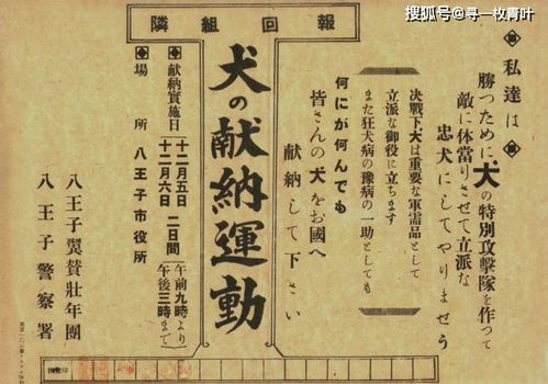 塞玉势,古老工艺的现代复兴-玉石雕刻技艺解析-第1张图片-佛山资讯网 塞玉势,古老工艺的现代复兴-玉石雕刻技艺解析-第1张图片-佛山资讯网