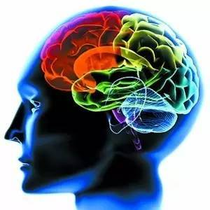 科学提升大脑潜能，打造最强大脑-记忆力提升策略与实践-第1张图片-佛山资讯网
