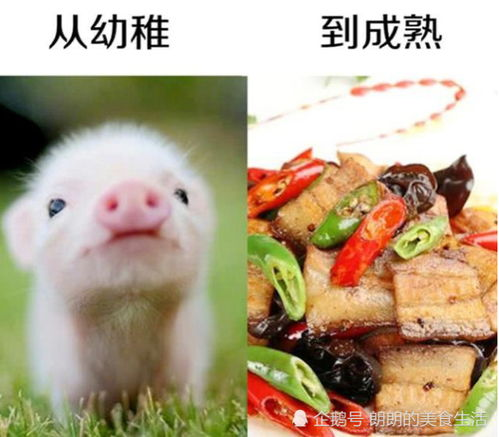 鲜衣怒马少年时,青春激情与梦想的追求-第3张图片-佛山资讯网 鲜衣怒马少年时,青春激情与梦想的追求-第3张图片-佛山资讯网