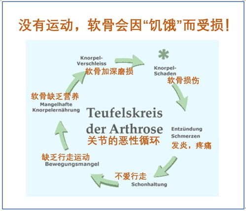 女生胸部增大方法解析-科学策略与实践建议-第2张图片-佛山资讯网 女生胸部增大方法解析-科学策略与实践建议-第2张图片-佛山资讯网