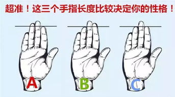 细腻描绘学长手指转动,提升文学创作深度-写作技巧解析-第3张图片-佛山资讯网 细腻描绘学长手指转动,提升文学创作深度-写作技巧解析-第3张图片-佛山资讯网