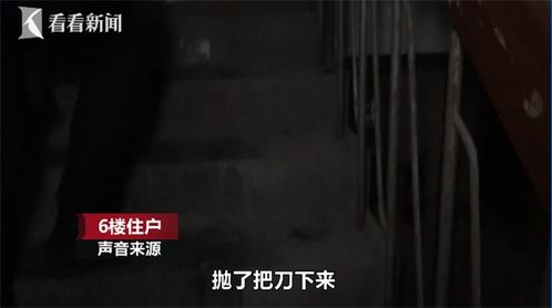 楼上楼下电视剧，生活百态与人际关系的深刻剖析-第1张图片-佛山资讯网