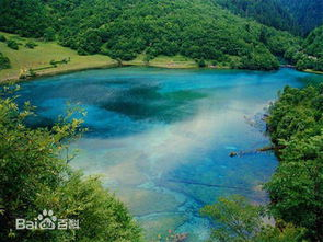 乡野春潮,自然美景的复苏-揭秘乡野春天的魅力-第2张图片-佛山资讯网 乡野春潮,自然美景的复苏-揭秘乡野春天的魅力-第2张图片-佛山资讯网