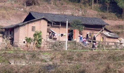 乡村爱情13：农村生活变迁与人物成长-剧情深度剖析-第2张图片-佛山资讯网