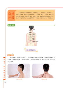 身体一半软调理方法-全面健康改善指南-第1张图片-佛山资讯网