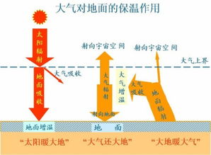 今晚无人入睡,内容优化策略-SEO深度解析-第2张图片-佛山资讯网 今晚无人入睡,内容优化策略-SEO深度解析-第2张图片-佛山资讯网