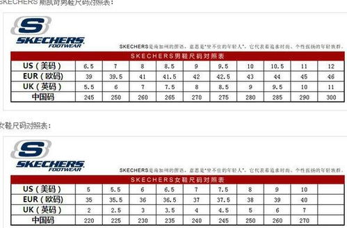 国产尺码与欧洲尺码差异解析-转换方法一览-第1张图片-佛山资讯网