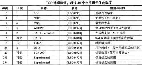 国产尺码与欧洲尺码差异解析-转换方法一览-第3张图片-佛山资讯网