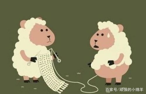 笑破你肚子的笑话30个-轻松幽默的笑料集合-第1张图片-佛山资讯网 笑破你肚子的笑话30个-轻松幽默的笑料集合-第1张图片-佛山资讯网