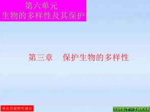暖暖在线视频，免费高清体验-解析优质视频平台的秘密-第3张图片-佛山资讯网