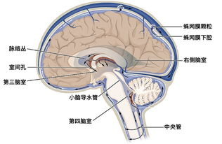 做完手术后下面流液体,原因与处理方法解析-第4张图片-佛山资讯网