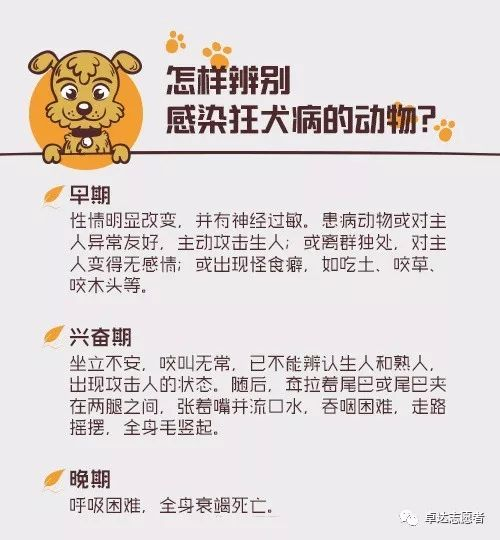 一不小心爱上你,心理机制解析与应对策略-第2张图片-佛山资讯网