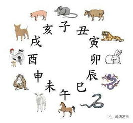 揭秘今晚生肖预测的准确性-传统文化与现代解读-第3张图片-佛山资讯网 揭秘今晚生肖预测的准确性-传统文化与现代解读-第3张图片-佛山资讯网