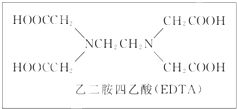 爱情公寓第三季，情景喜剧的经典之作-剧情与角色深度解析-第4张图片-佛山资讯网