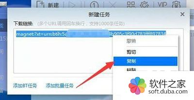 迅雷在线种子网使用指南-高效下载解决方案解析-第1张图片-佛山资讯网