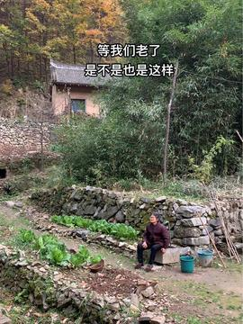 《乡村爱情8》:乡村风情与人物情感的深度融合-剧情解析与观剧指南-第1张图片-佛山资讯网 《乡村爱情8》:乡村风情与人物情感的深度融合-剧情解析与观剧指南-第1张图片-佛山资讯网