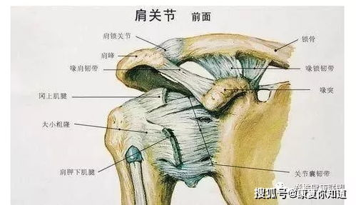 疼痛管理策略，缓解不适感-全面解析疼痛解决方案-第2张图片-佛山资讯网