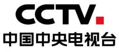 中央体育CCTV5+直播，专业赛事实时观看-观看指南与特色介绍-第1张图片-佛山资讯网