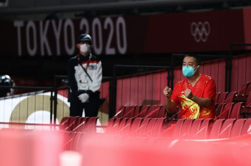 奔跑吧第十季免费观看-合法途径与精彩内容解析-第4张图片-佛山资讯网 奔跑吧第十季免费观看-合法途径与精彩内容解析-第4张图片-佛山资讯网