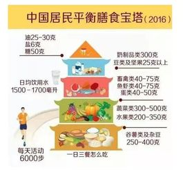 健康饮食策略,维持健康生活-营养均衡解决方案解析-第2张图片-佛山资讯网