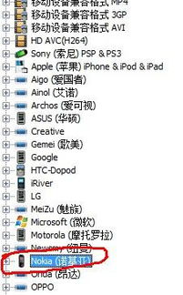 免费看电影下载:合法途径与版权保护指南-第2张图片-佛山资讯网 免费看电影下载:合法途径与版权保护指南-第2张图片-佛山资讯网