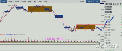 斗罗大陆魂师对决:战术解析与精彩回顾-深入了解魂师文化-第2张图片-佛山资讯网 斗罗大陆魂师对决:战术解析与精彩回顾-深入了解魂师文化-第2张图片-佛山资讯网
