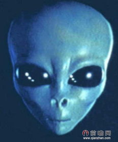 中国9人疑似外星人事件解析-揭秘真相与科学探索-第4张图片-佛山资讯网 中国9人疑似外星人事件解析-揭秘真相与科学探索-第4张图片-佛山资讯网