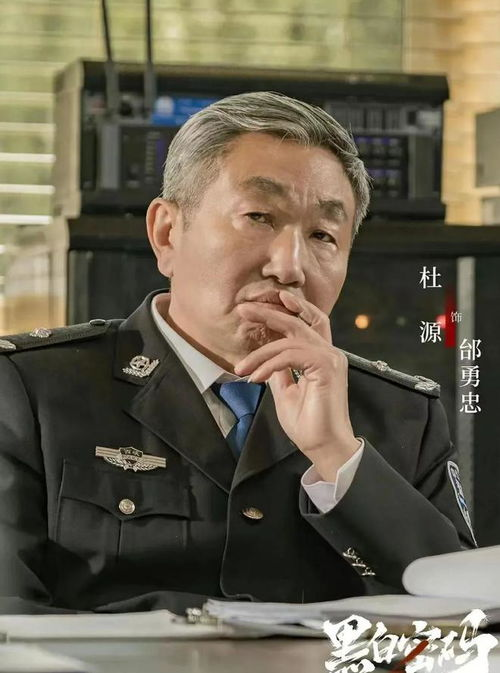 40部真实刑侦电视剧深度解析-剧情与现实的交织-第1张图片-佛山资讯网