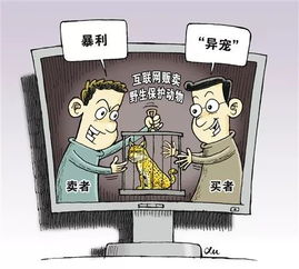 合法免费观看《斗罗大陆》的正确姿势-第4张图片-佛山资讯网 合法免费观看《斗罗大陆》的正确姿势-第4张图片-佛山资讯网