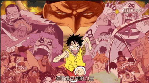 海贼王免费观看完整版，合法途径大揭秘-第3张图片-佛山资讯网