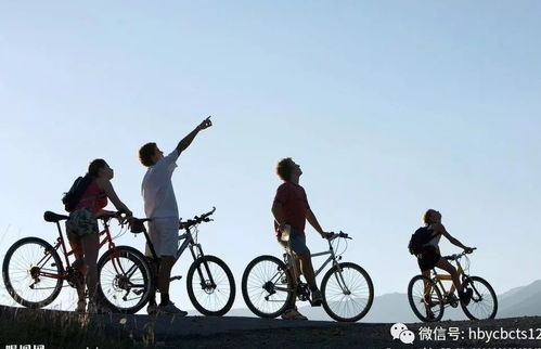 人在囧途,出行困境-解决方案解析-第2张图片-佛山资讯网 人在囧途,出行困境-解决方案解析-第2张图片-佛山资讯网
