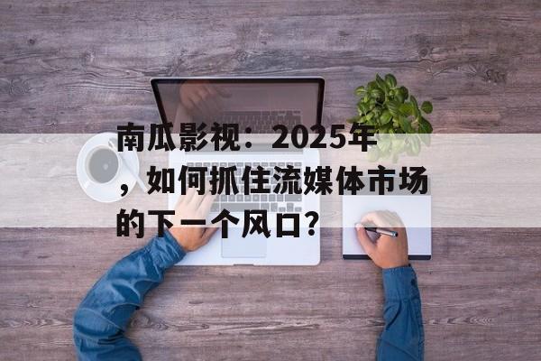 南瓜影视：2025年，如何抓住流媒体市场的下一个风口？-第1张图片-佛山资讯网