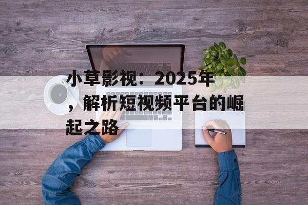 小草影视：2025年，解析短视频平台的崛起之路-第1张图片-佛山资讯网