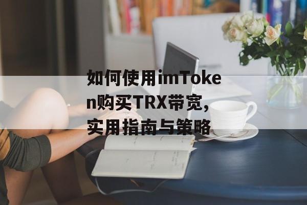 如何使用imToken购买TRX带宽, 实用指南与策略-第1张图片-佛山资讯网 如何使用imToken购买TRX带宽, 实用指南与策略-第1张图片-佛山资讯网