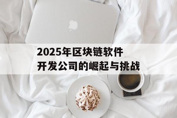 2025年区块链软件开发公司的崛起与挑战-第1张图片-佛山资讯网