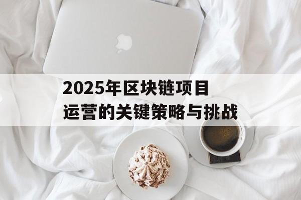 2025年区块链项目运营的关键策略与挑战-第1张图片-佛山资讯网