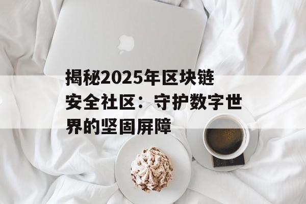 揭秘2025年区块链安全社区：守护数字世界的坚固屏障-第1张图片-佛山资讯网