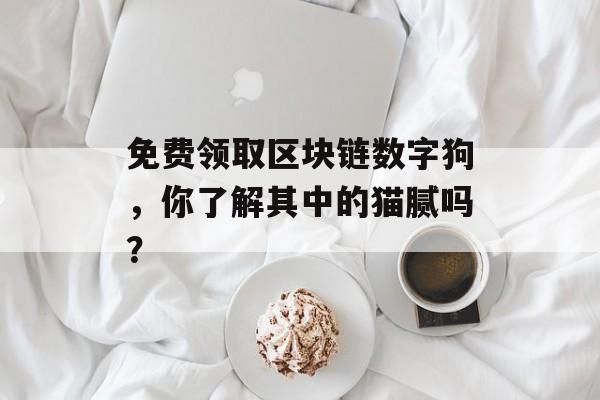 免费领取区块链数字狗，你了解其中的猫腻吗？-第1张图片-佛山资讯网