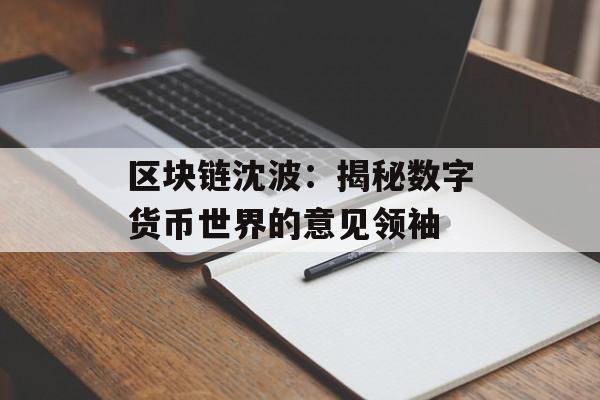区块链沈波：揭秘数字货币世界的意见领袖-第1张图片-佛山资讯网