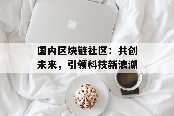 国内区块链社区：共创未来，引领科技新浪潮-第1张图片-佛山资讯网