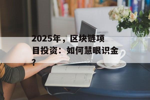 2025年，区块链项目投资：如何慧眼识金？-第1张图片-佛山资讯网