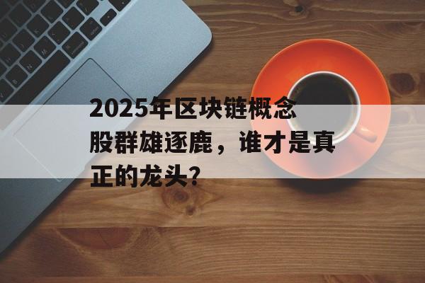 2025年区块链概念股群雄逐鹿，谁才是真正的龙头？-第1张图片-佛山资讯网
