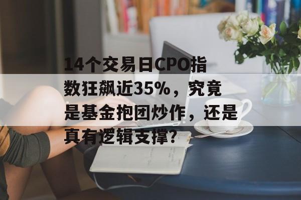 14个交易日CPO指数狂飙近35%，究竟是基金抱团炒作，还是真有逻辑支撑？-第1张图片-佛山资讯网