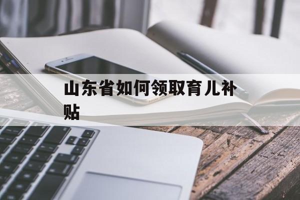 山东省如何领取育儿补贴-第1张图片-佛山资讯网 山东省如何领取育儿补贴-第1张图片-佛山资讯网