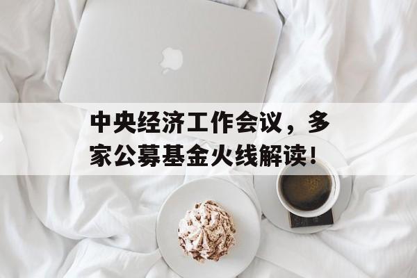 中央经济工作会议，多家公募基金火线解读！-第1张图片-佛山资讯网
